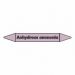 Anhydrous Ammonia Pipe Marker self adhesive vinyl code PMAc09a